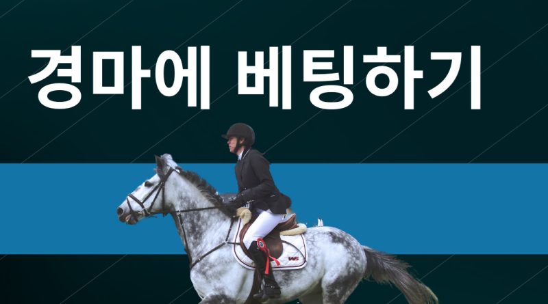 한국 경마 베팅에 대한 계몽적인 소개